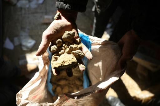 El nuevo poder sirio afirma que quemó un millón de pastillas de captagon