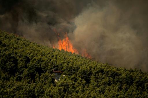 Grecia ante una situación extremadamente difícil por incendios con fuertes vientos