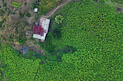 Elecciones bajo fuego: la campaña de un candidato en Colombia amenazada por la violencia