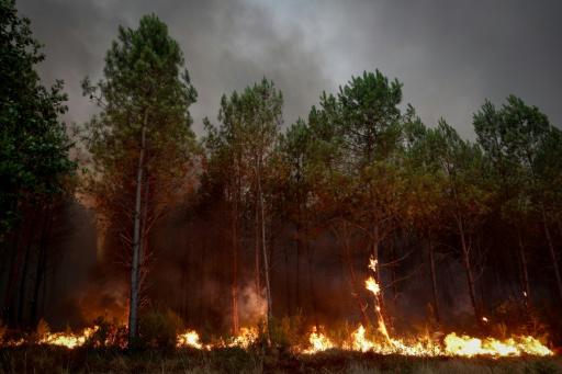 Incendios forestales: ¿qué impacto tiene el humo en la salud?