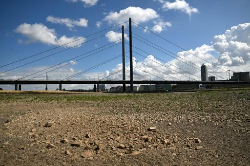 El verano en el que el cambio climático se convirtió en una realidad infernal para los europeos