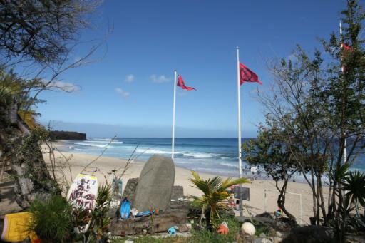 En Reunión, el surf renace después de los ataques de tiburones