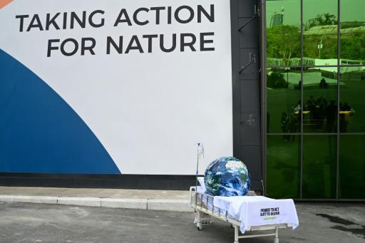 La COP17 sobre biodiversidad encara su recta final sin visos de consenso