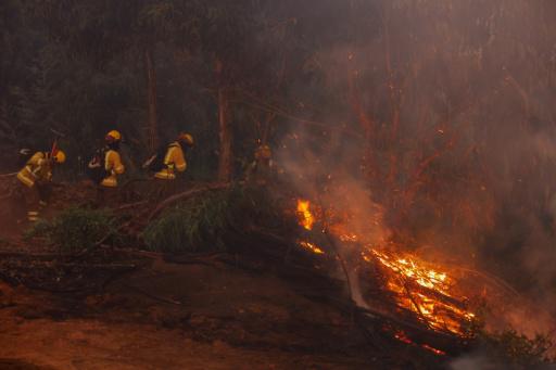 Damnificados por los incendios en Chile piden ayuda y el gobierno ...