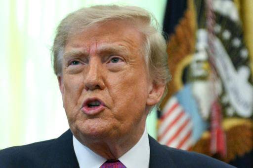 La orden del presidente Donald Trump para restringir el voto por correo fue suspendida por la justicia.