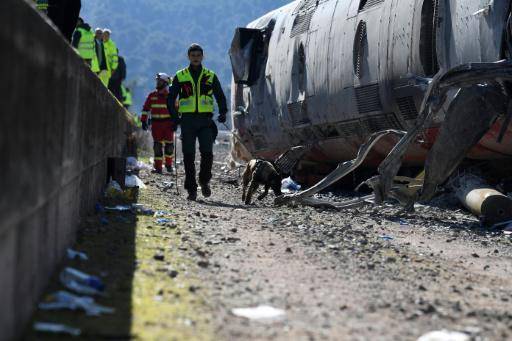 Los servicios de emergencia trabajan en el lugar del accidente ferroviario de la localidad española de Adamuz, en la provincia de Córdoba, el 20 de enero de 2026