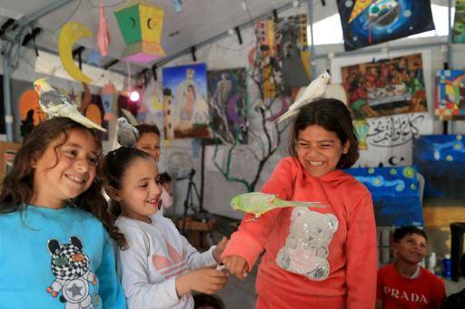 Durante las sesiones, los niños pueden agarrar pájaros, un conejo, una tortuga pequeña, un erizo y un perrito blanco