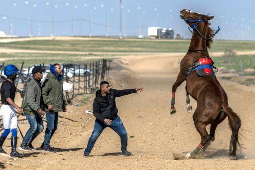 Beduinos organizan carreras de caballos en el desierto de Israel