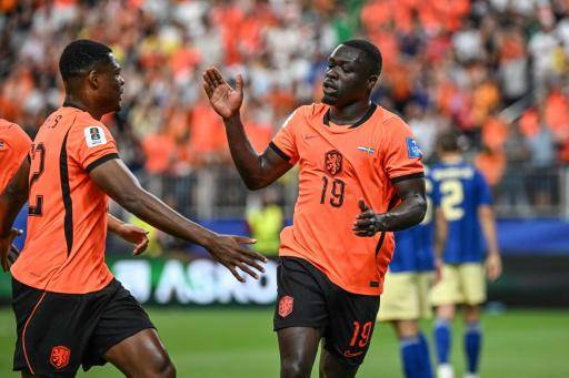 Con la estrella Depay apagándose, Brian Brobbey brilla con Países Bajos