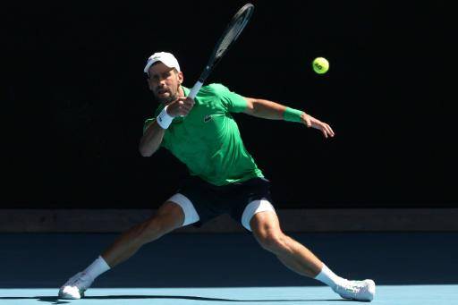 Djokovic avanza a tercera ronda de Abierto de Australia, con ayuda de una higuera