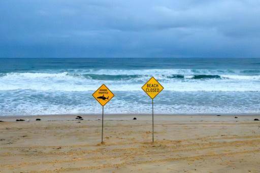 Australia registra el cuarto ataque de tiburón en dos días