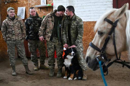 Caballos para aliviar el alma de los soldados ucranianos