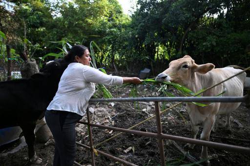 La angustia por miles de detenidos sin cargos ni sentencia en El Salvador