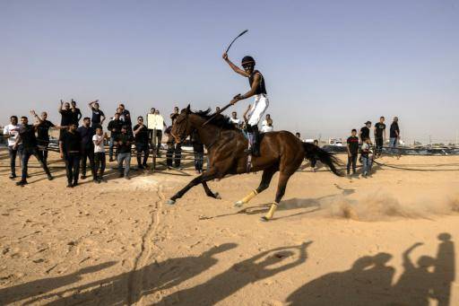 Beduinos organizan carreras de caballos en el desierto de Israel