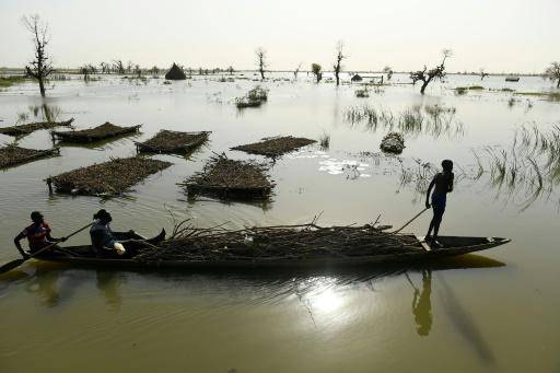 Sudán del Sur en territorio desconocido tras cuatro años de inundaciones