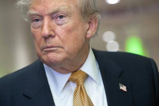 Trump despide a comisionados federales de elecciones antes de los comicios legislativos en EEUU