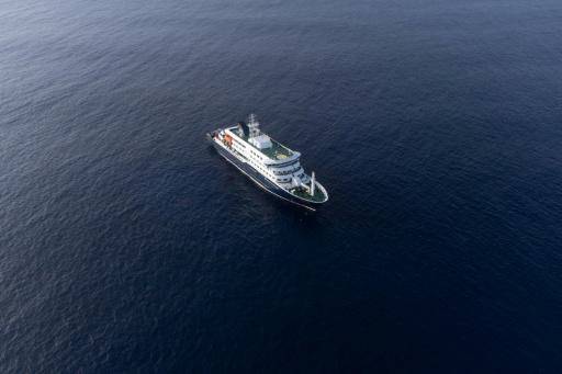La transmisión de hantavirus en un crucero es marginal, explica un infectólogo