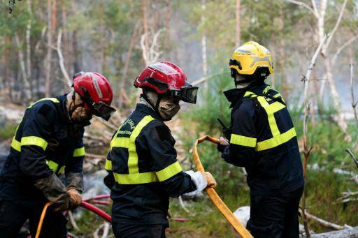 Logran contener dos incendios en el bosque de Fontainebleau, cerca de París