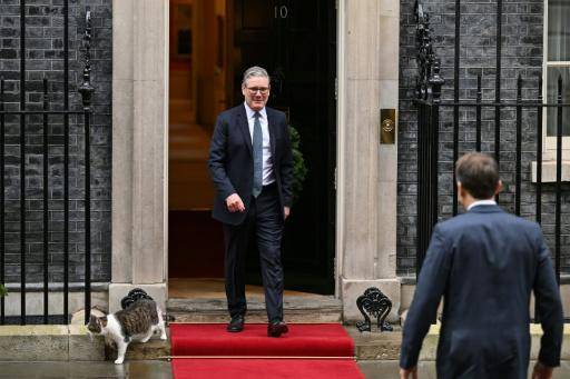 El famoso gato Larry celebra 15 años en el 10 de Downing Street