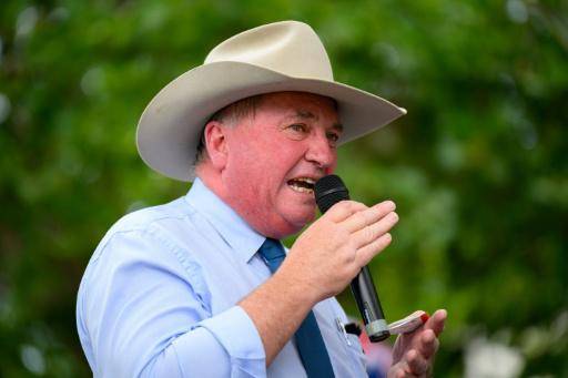 Legislador derechista australiano arremete contra su perro en una transmisión en vivo
