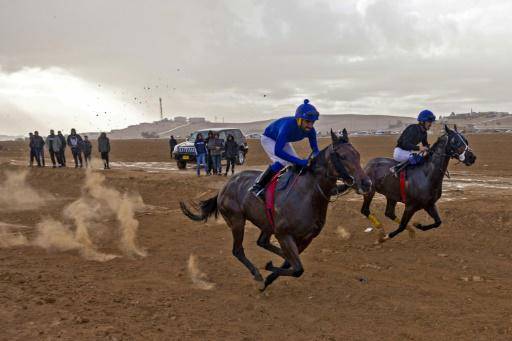 Beduinos organizan carreras de caballos en el desierto de Israel