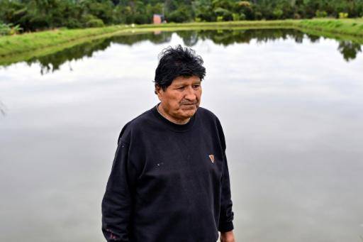 El gobierno boliviano anuncia que retomará el bastion del expresidente Evo Morales