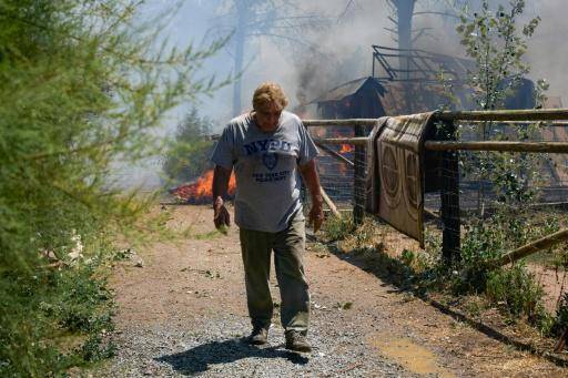 Los incendios queman bosques en Europa atizados por el calor extremo