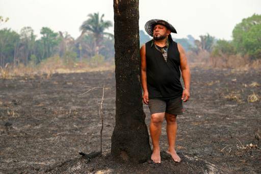 El avance de Flávio Bolsonaro alarma a los guardianes de la Amazonía brasileña