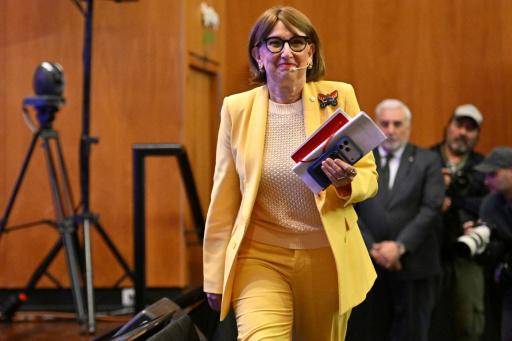 El combate al crimen transnacional, un tema prioritario para tres candidatas a dirigir la ONU