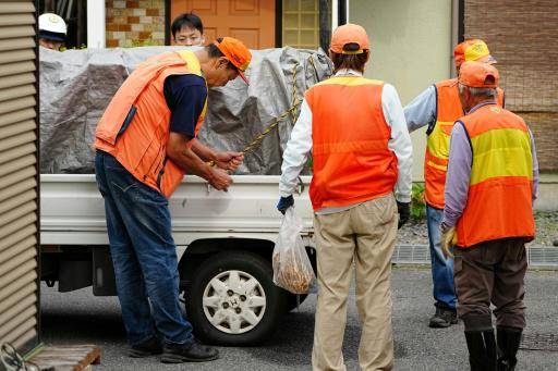 Capturan al oso que mantuvo en alerta a ciudad japonesa durante cuatro días