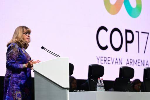 La COP17 sobre biodiversidad encara su recta final sin visos de consenso