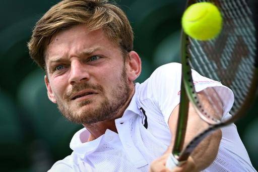 El tenista belga David Goffin se retirará al final de temporada