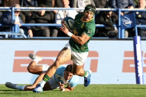 Los campeones mundiales, los Springboks, vencen 17-10 de visita a Los Pumas