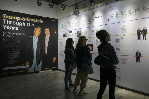Oenegé expone al público 3,5 millones de páginas del caso Epstein en EEUU