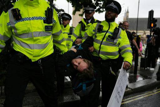 Detienen en Reino Unido a decenas de partidarios del ilegalizado grupo Palestine Action