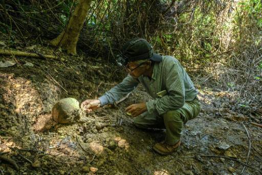 Voluntarios japoneses buscan restos de los muertos en la batalla de Okinawa