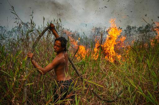 Incendios forestales asfixian Indonesia y provocan una nube de humo en la región