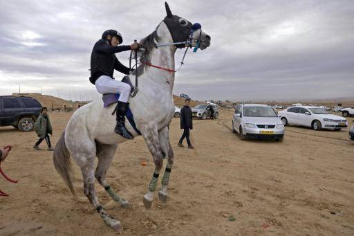 Beduinos organizan carreras de caballos en el desierto de Israel