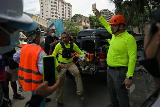 Los rescatistas de cuatro patas que trabajan contra reloj en Venezuela