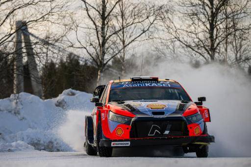 Investigan la muerte de renos al margen del Rally de Suecia