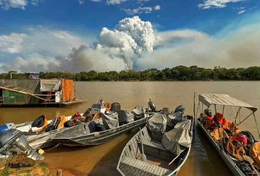 Incendios fuera de control ponen en peligro la fauna en el Pantanal brasileño