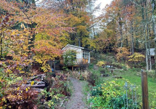 Suecia apuesta por el silencio de sus bosques como antídoto al ruido del mundo