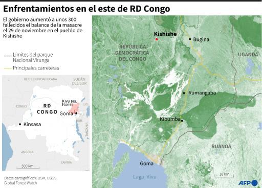 Ruanda acusa a la comunidad internacional de exacerbar la crisis en República Democrática del Congo