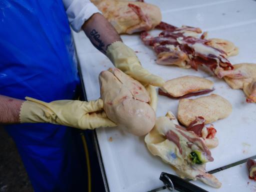 El foie gras, objeto de una batalla legal en Nueva York