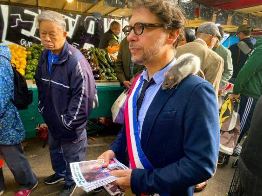 Las ratas de París encuentran un aliado político inesperado