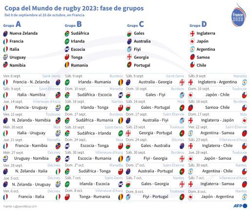 Manual de uso para el Mundial de rugby