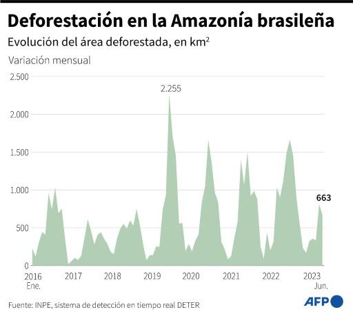 La deforestación en la Amazonía brasileña cae un 33% en el primer semestre de 2023