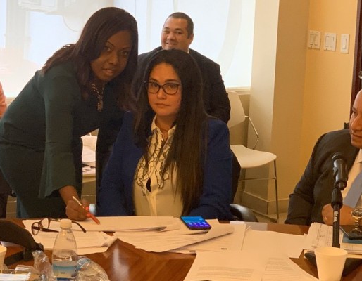 Zulay Rodríguez retira propuesta sobre nacionalidad