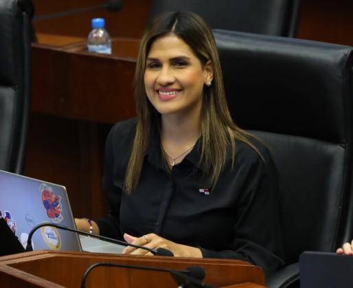 Más de 400 proyectos de ley buscan luz verde en la Asamblea Legislativa