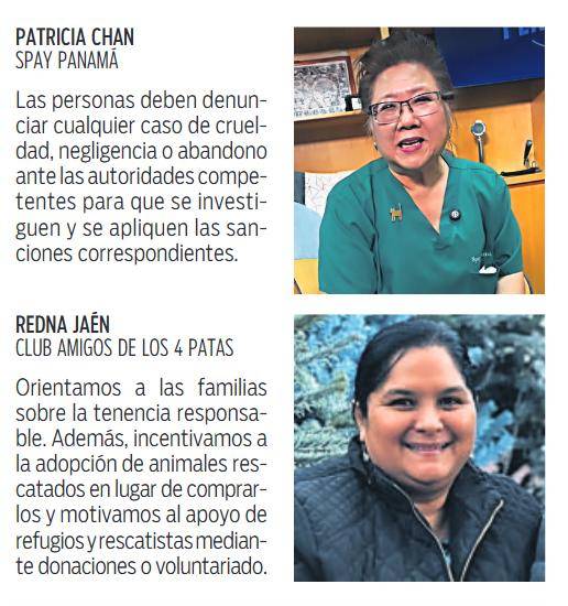 $!Fundaciones impulsan campañas para fomentar el cuidado animal
